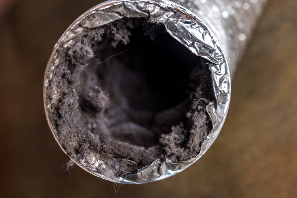 Best Air Vent Cleaning Services  in St Elmo, IL