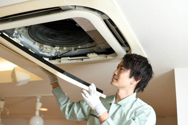 Best Affordable Duct Cleaning Services  in St Elmo, IL